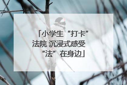 小学生“打卡”法院 沉浸式感受“法”在身边